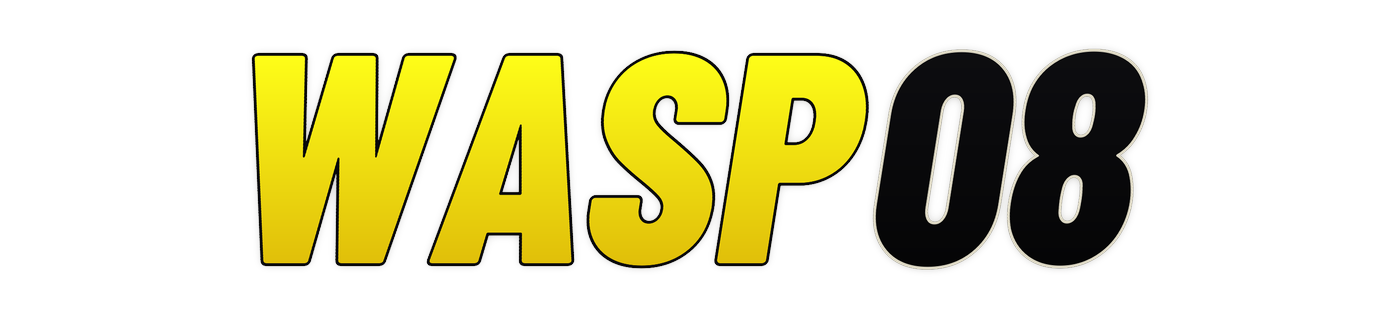 wasp08